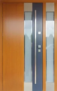 Exterior doors, design: DZ046