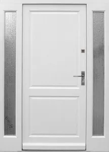 Exterior doors, design: DZ177