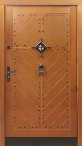 Drzwi zewnętrzne, wzór: DZ185